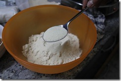 2012-03-10 Modak Making 004